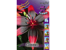 25,44���.�����  ����� (�������� ���� �� 10 ��., ����������� ����� 1��.).jpg