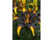 26,38���.�����  ����� ���� (�������� ���� �� 5 ��., ����������� ����� 1��.).jpg