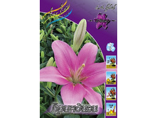 10,28���.�����  �������� (��� 10 ��. ���������� ������ 5��.).jpg