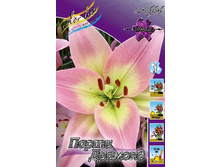 11,9���.�����  ����� ������� (��� 10 ��. ���������� ������ 5��.).jpg