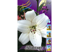 12,97���.�����  ������� (��� 10 ��. ���������� ������ 5��.).jpg