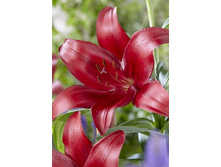 15,12���.�����  ����� (��� 10 ��. ���������� ������ 5��.).jpg