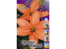 22,64���.�����  ����� ����� (��� 10 ��. ���������� ������ 5��.).jpg