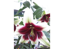 173,4���.�����  ����-���� (�������� ���� �� 2 ��., ����������� ����� 1��.).jpg