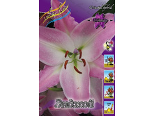 14,05���.�����  ������ (��� 10 ��. ���������� ������ 5��.).jpg