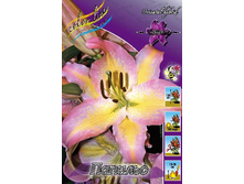 14,26���.�����  ������� (��� 10 ��. ���������� ������ 5��.).jpg