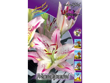 17,27���.�����  �������� (��� 10 ��. ���������� ������ 5��.).jpg