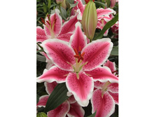 20,49���.�����  �������� (��� 10 ��. ���������� ������ 5��.).jpg