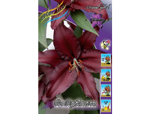 27,48���.�����  �������� (�������� ���� �� 10 ��., ����������� ����� 1��.).jpg