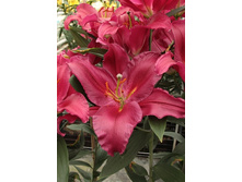 28,02���.�����  ������ (�������� ���� �� 10 ��., ����������� ����� 1��.).jpg