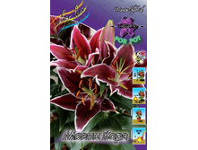 22,64���.�����  ����� ���� (��� 10 ��. ���������� ������ 5��.).jpg