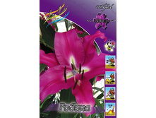 15,66���.�����  ������ (��� 10 ��. ���������� ������ 5��.).jpg