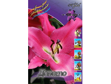 17,81���.�����  ������ (��� 10 ��. ���������� ������ 5��.).jpg