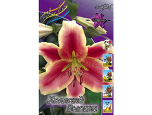 18,34���.�����  ������� ����� (��� 10 ��. ���������� ������ 5��.).jpg