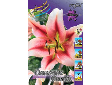 22,64���.�����  ������� ����� (��� 10 ��. ���������� ������ 5��.).jpg