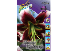 25,87���.�����  ����� ������ (�������� ���� �� 10 ��., ����������� ����� 1��.).jpg