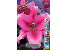 27,48���.�����  ������ (�������� ���� �� 10 ��., ����������� ����� 1��.).jpg