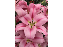 28,02���.�����  ������� (�������� ���� �� 10 ��., ����������� ����� 1��.).jpg