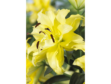 56,04���.�����  ����� ����� (�������� ���� �� 5 ��., ����������� ����� 1��.).jpg