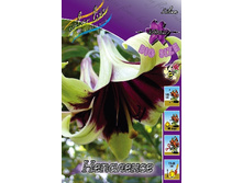 166,95���.�����  ��������� (�������� ���� �� 2 ��., ����������� ����� 1��.).jpg