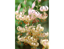 274,4���.�����  �������� (�������� ���� �� 2 ��., ����������� ����� 1��.).jpg