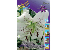 22,64���.�����  ���� ������ (��� 10 ��. ���������� ������ 5��.).jpg