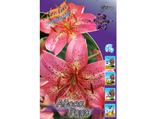 23,5���.�����  ����� ���� (��� 10 ��. ���������� ������ 5��.).jpg