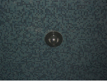 DSCF1550.JPG