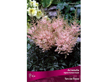 �������� ������������� ��� �� ���� 109,0