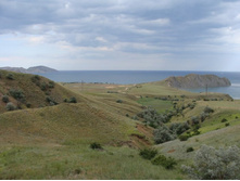 DSC00925 - ����� (2).JPG