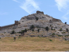 DSC01157 - ����� (2).JPG