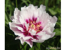 ���� ���� ����� 1280,0