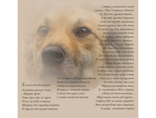 10.Stihi_o_ryzhej_dvornyage____Eduard_Asadov.jpg