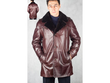 81022 ����������.jpg