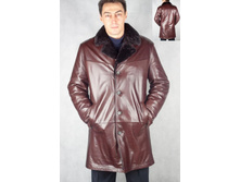 81167 ����������.jpg