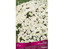 ����� ������������� ������ 69,0