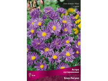 ����� ������������� ���� ������ 69,0