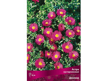 ����� ������������� ������ 69,0