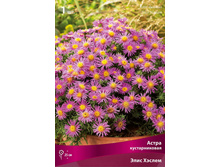 ����� ������������� ���� ������ 69,0