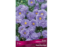 ����� ��������������� ���� ������� 79,0