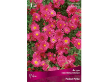 ����� ��������������� ����� ���� 79,0