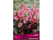 ����� ��������� ������ ������ 190,0