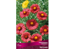 ���������� ��������� ��������� 90,0