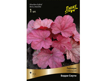 ������� ��������� ����� ����� 254,0