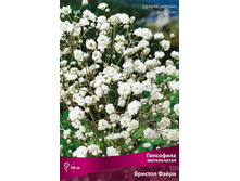 ��������� ����������� ������� ����� 140