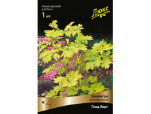 �������� ������������ ���� ���� 233,0