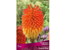 �������� ��������� ������ ���� 109,0