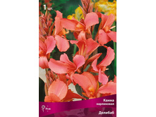 ����� ���������� ������� 89,0