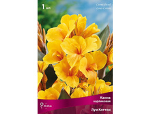 ����� ���������� ��� ������ 89,0