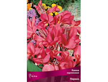 ����� ���������� ������ 89,0